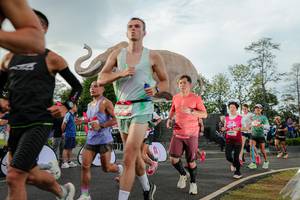 BIB: 
                            <button type="button" onclick="openModal(26528302)" class="btn btn-primary btn-sm float-right btn-popup" data-toggle="modal" data-target=".modal-high-quality">
                        <i class="fas fa-shopping-cart"></i> Add to Cart
                    </button>
                                            <button type="button" onclick="isThisMe(26528302, true)" class="btn btn-success btn-sm float-right btn-popup btn-isme hidden" data-toggle="tooltip" data-placement="bottom" title="นี่คือรูปของคุณใช่ไหม คลิกที่นี่เพื่อเอาเข้าอัลบั้ม">
                        <i class="fas fa-plus"></i> Add to album
                    </button>
                    <button type="button" onclick="isThisMe(26528302, false)" class="btn btn-warning btn-sm float-right btn-popup btn-isnotme hidden">
                        <i class="fas fa-ban"></i> Remove from album
                    </button>